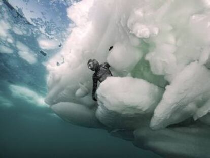 Somos agua  la belleza de los icebergs menguantes.
