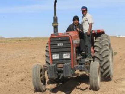 El presidente de Bolivia, Evo Morales (i), conduce un tractor en el inicio de la siembra de la quinua en una parcela de su propiedad al destacar la importancia de este grano para la alimentación.