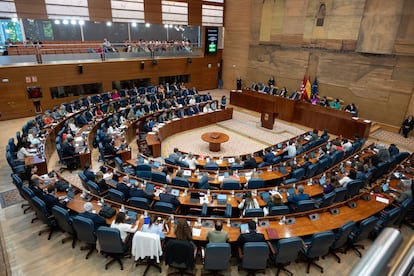 Vista del pleno de la Asamblea de Madrid.