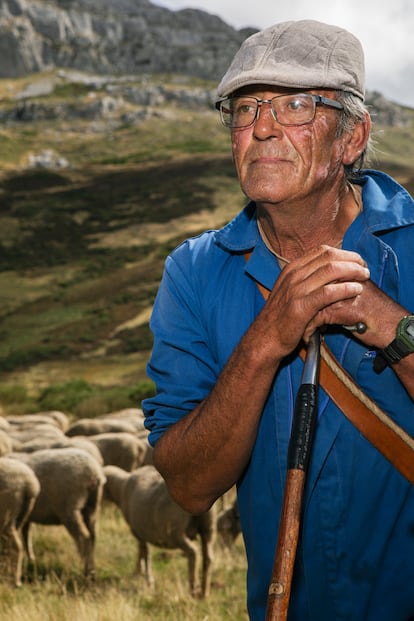 Nemecio, pastor de un rebaño que hace la trashumancia en la comarca leonesa de Babia. Tiene 56 años y empezó a pastorear a los 12.