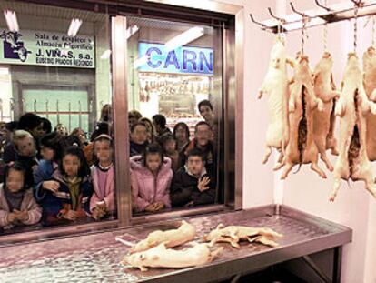 Un grupo de alumnos del colegio María Corredentora visitan el mercado de carnes de Madrid.