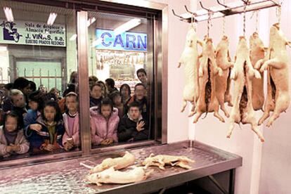 Un grupo de alumnos del colegio María Corredentora visitan el mercado de carnes de Madrid.