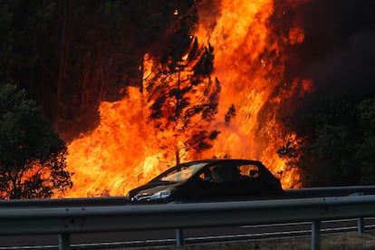 Un incendio forestal ha provocado el corte de la autopista A1 en Leiria, Portugal, este lunes.