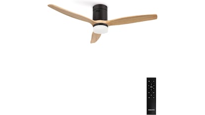 Ventilador de techo Create.