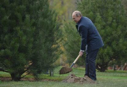 El presidente ruso, Vladímir Putin, planta un árbol durante el Foro de Cooperación Económica Asia Pacífico, en Pekín (China).