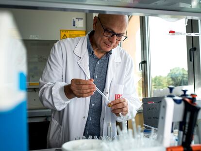 Massimo Castellari, investigador del Instituto de Investigación y Tecnología Agroalimentaria (IRTA) de Monells (Girona) y experto en nuevas proteínas, este miércoles en el laboratorio de análisis cromatográfico del centro.
