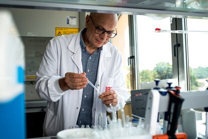 Massimo Castellari, investigador del Instituto de Investigación y Tecnología Agroalimentaria (IRTA) de Monells (Girona) y experto en nuevas proteínas, este miércoles en el laboratorio de análisis cromatográfico del centro.