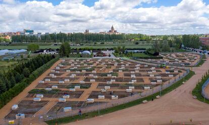 Horts urbans a la riba del riu Tormes a Salamanca.