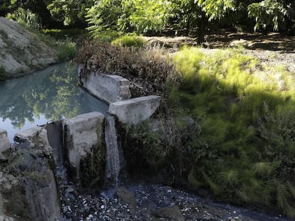 Vertido de aguas residuales al arroyo Mortaja en Coín (Málaga).