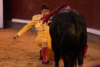 Alejandro Chicharro, en un desplante de rodillas en el toro de su confirmación.