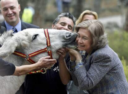 La Reina Sofía durante la visita que ha realizado a la Fundación Casa del Burro en la localidad cordobesa de Rute, el 24 de septiembre de 2008