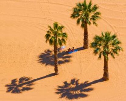 Palmeras y turistas en la playa de las Teresitas, en Tenerife.