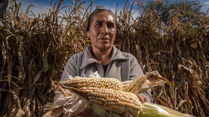 Una productora de maíz en Singuilucan, Hidalgo (México).