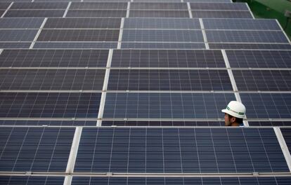 Un técnico observa varios paneles de energía solar.