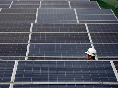 Un técnico observa varios paneles de energía solar.