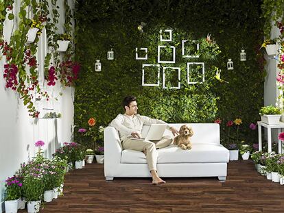 El lado oculto de la planta del salón