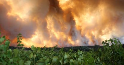 Incendio de la Jonquera, el pasado verano.