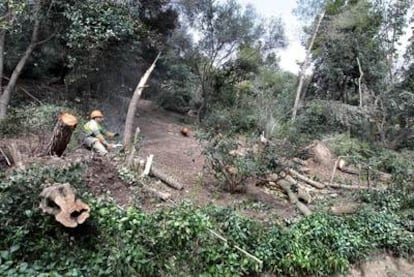 Un operario comienza las tareas de limpieza del parque Güell de Barcelona tras la nevada, ayer.