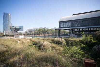 El solar on es va projectar la biblioteca. al costat de les vies de l'Estació De França.