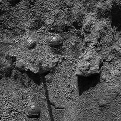 En esta imagen, de tres centímetros, captada por el robot de la NASA, se aprecian unos cuerpos esféricos incrustados en el suelo de Marte.