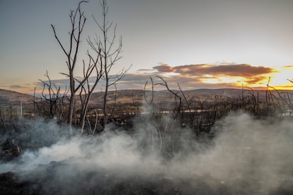 Zona quemada por el incendio de Bejís, en la comarca castellonense del Alto Palancia, este jueves.