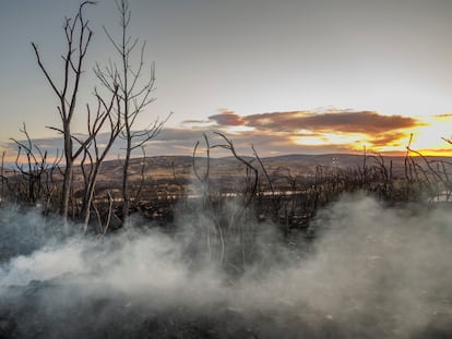 Zona quemada por el incendio de Bejís, en la comarca castellonense del Alto Palancia, este jueves.