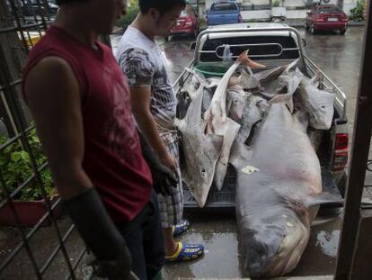 Mercado de pescado de Mahachai, en Tailandia.