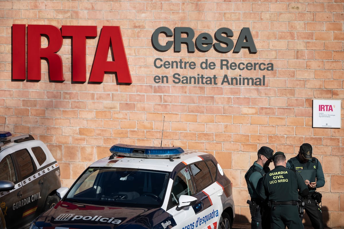 La auditoría al laboratorio señalado por la presunta fuga de la peste porcina deja todas las hipótesis abiertas