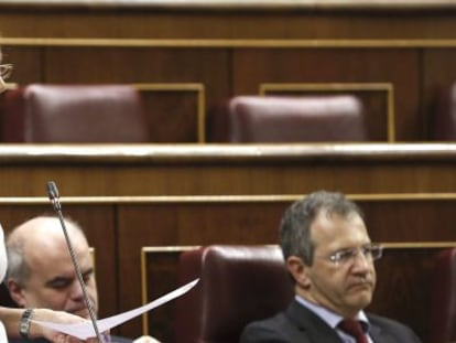 La portavoz de UPyD, Rosa Díez, en el Congreso.