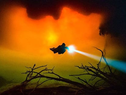 Las mejores fotografías científicas de 2017