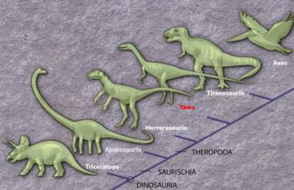 Los dinosaurios se originaron en lo que hoy es América del Sur y pronto divergieron en linajes como el del triceratops, el apatosaurio y el tiranosaurio rex, antes de expandirse por todo el mundo hace 220 millones de años.
