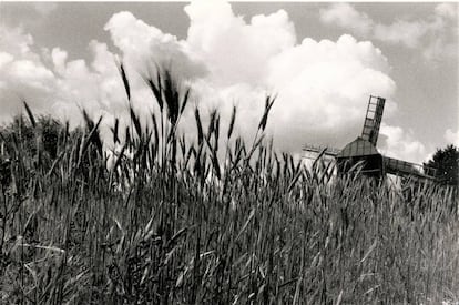 Campos de cereal en Ucrania en julio de 1991.