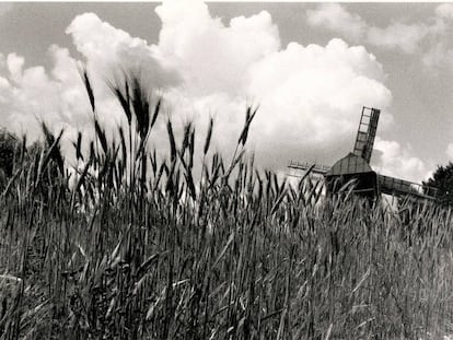 Campos de cereal en Ucrania en julio de 1991.