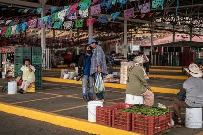 Centro de acopio de nopal en la Alcaldía Milpa Alta de la Ciudad de México, el 23 de abril.