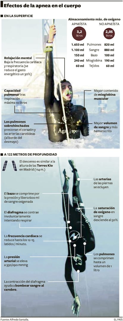 Gráfico sobre los efectos de la apnea en el cuerpo.