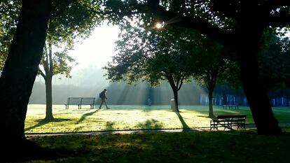 Un hombre camina por un parque.