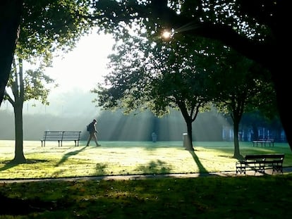 Un hombre camina por un parque.