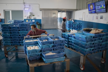 Pescadores protegidos con mascarillas y guantes durante la subasta, donde los vendedores ven reflejado en monitores su producto y el precio, en Cádiz, este martes.