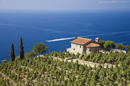 Villa y viñedos sobre la costa cerca de Colle d'Orano, en la isla de Elba (Italia).