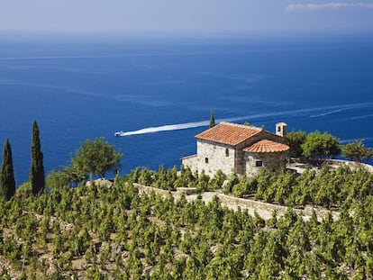 Villa y viñedos sobre la costa cerca de Colle d'Orano, en la isla de Elba (Italia). 