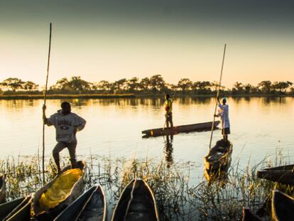 Una noche salvaje en el Okavango