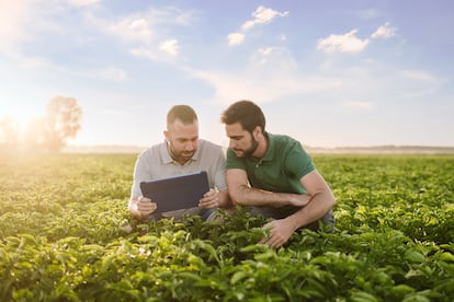 La aplicación exclusiva CropTrak, basada en la tecnología 'big data', permite al agricultor tener un control eficiente del riego.