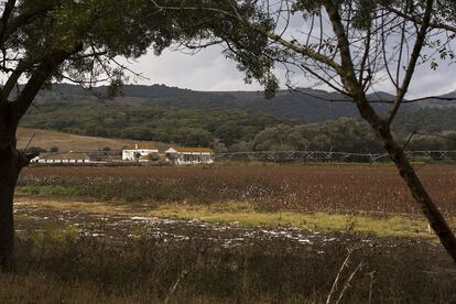 720 hectáreas de la finca se dedican a la agricultura de secano y regadío de cereales, girasol y algodón.