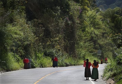 Y es que con esos alimentos comen familias enteras, no solo el matriculado. Estas han sido el gancho para no irse. Así lo cree Carlos Carrera, el representante de Unicef Guatemala: “Nos temíamos que muchos niños abandonaran la escuela durante la pandemia y ha pasado justamente lo contrario. En parte, por este programa y también por el seguro médico. Siempre es malo que haya abandono, pero el de este último año es relativamente inferior”. En 2020, la tasa de deserción escolar cayó del 4,2% al 1,5% en primaria y del 3,7% al 2,7% en infantil.