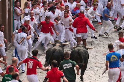 Los toros de la ganadería Fuente Ymbro, este lunes en el primer encierro de San Fermín.

