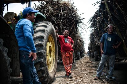 El gobierno federal puso a la venta en Veracruz los dos últimos ingenios azucareros en su poder, revirtiendo la nacionalización de esta industria en México. En la imagen un grupo de trabajadores de la zafra, en la esplanada del Ingenio San Cristóbal, cuya privatización fue hecha esta campaña 2015-2016.