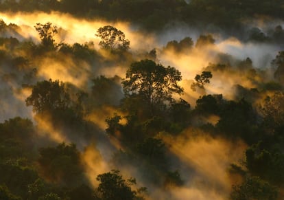 La selva amazónica superó su máxima capacidad de retirar CO2 de la atmósfera en los años 90.