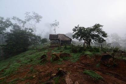 Una imagen de la reserva de Indio Maíz, en Nicaragua.