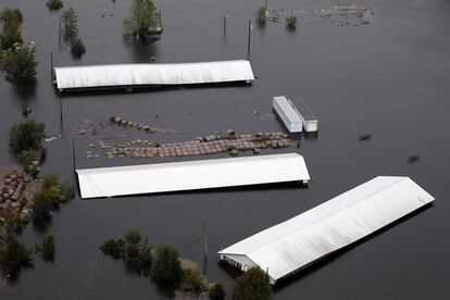 Naves agrícolas inundadas en Trenton, Carolina del Norte.