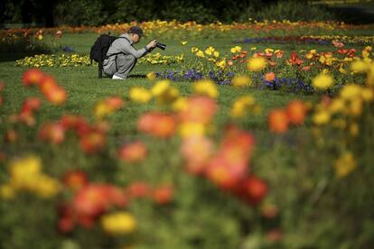 Un hombre fotografía las flores en el Parque Golden Gate en San Francisco, California.